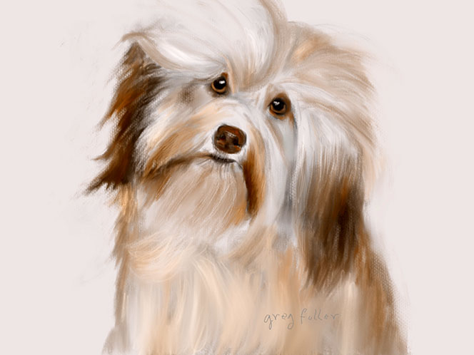 Digital Painting of Puppy Dog done with Procreate on an iPad