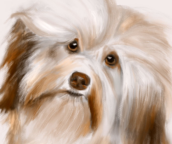 Digital Painting of Puppy Dog done with Procreate on an iPad