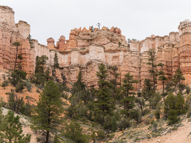 Entering Bryce Canyon-1060797